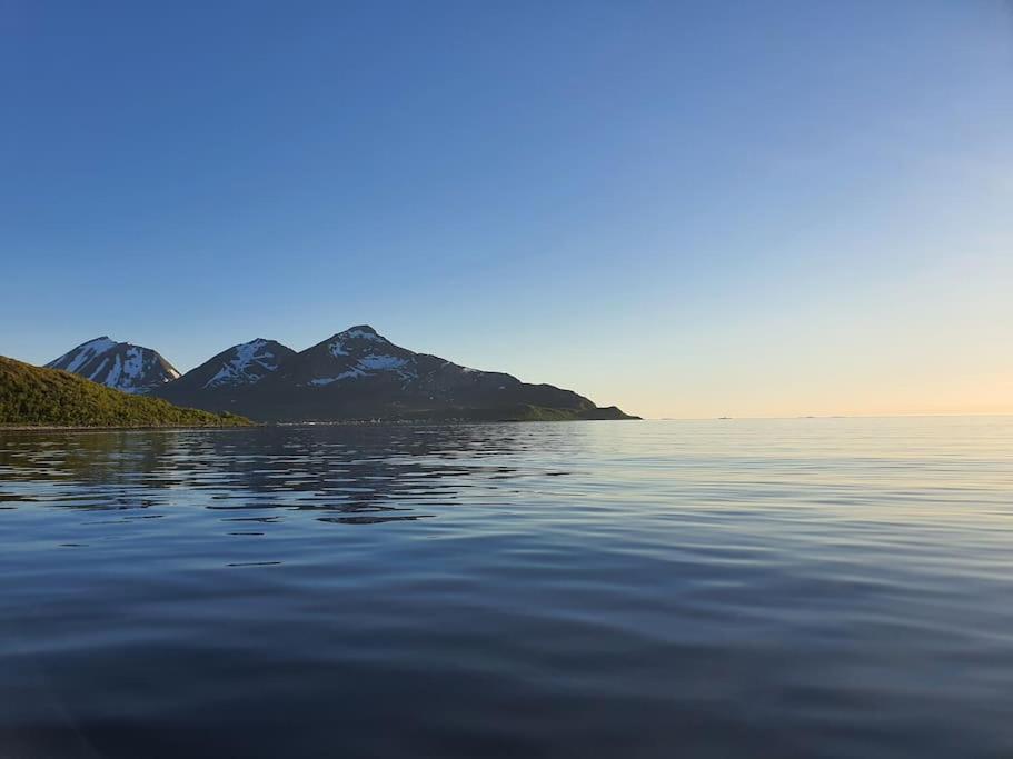 Arctic Lodge Tromvik With Jacuzzi Tromsø Zewnętrze zdjęcie