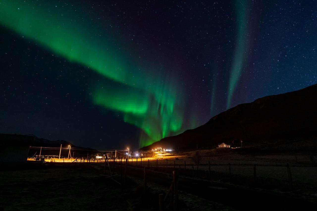 Arctic Lodge Tromvik With Jacuzzi Tromsø Zewnętrze zdjęcie